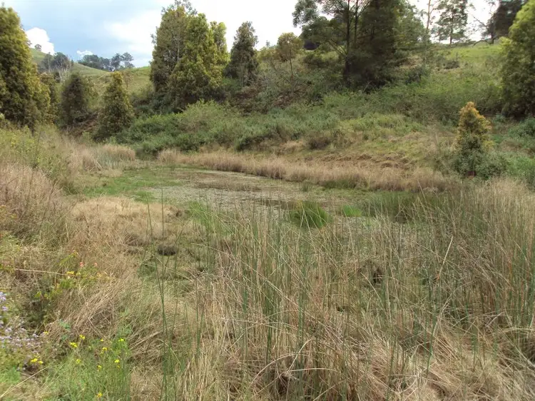 Fifth view of Homely rural property listing, 31 Arkinstall Road, Tuntable Creek NSW 2480