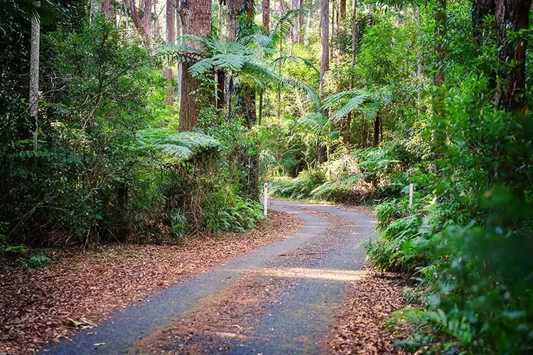 Fourth view of Homely rural property listing, 209 Carricks Road, Springbrook QLD 4213