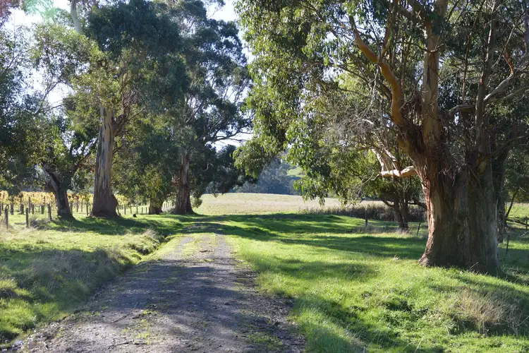Sixth view of Homely rural property listing, 8835 South Gippsland Highway, Korumburra VIC 3950