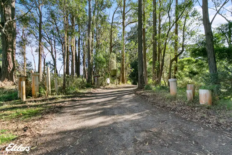 Second view of Homely rural property listing, 28 Ryans Road, Binginwarri VIC 3966