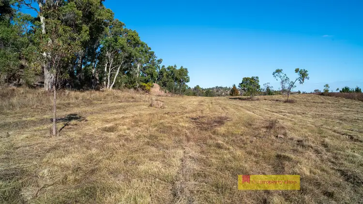 Fourth view of Homely rural property listing, 45 Hadabob Road, Mudgee NSW 2850