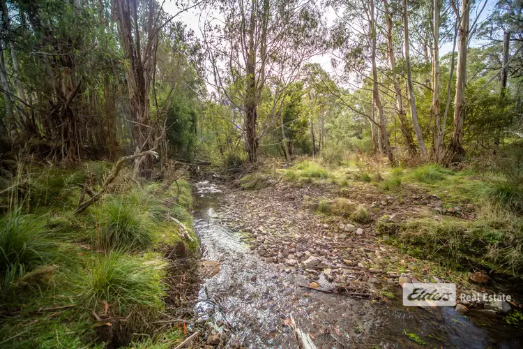 Fifth view of Homely rural property listing, 333 Scrubby Creek Track, Omeo VIC 3898