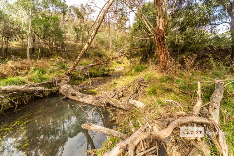 Sixth view of Homely rural property listing, 333 Scrubby Creek Track, Omeo VIC 3898