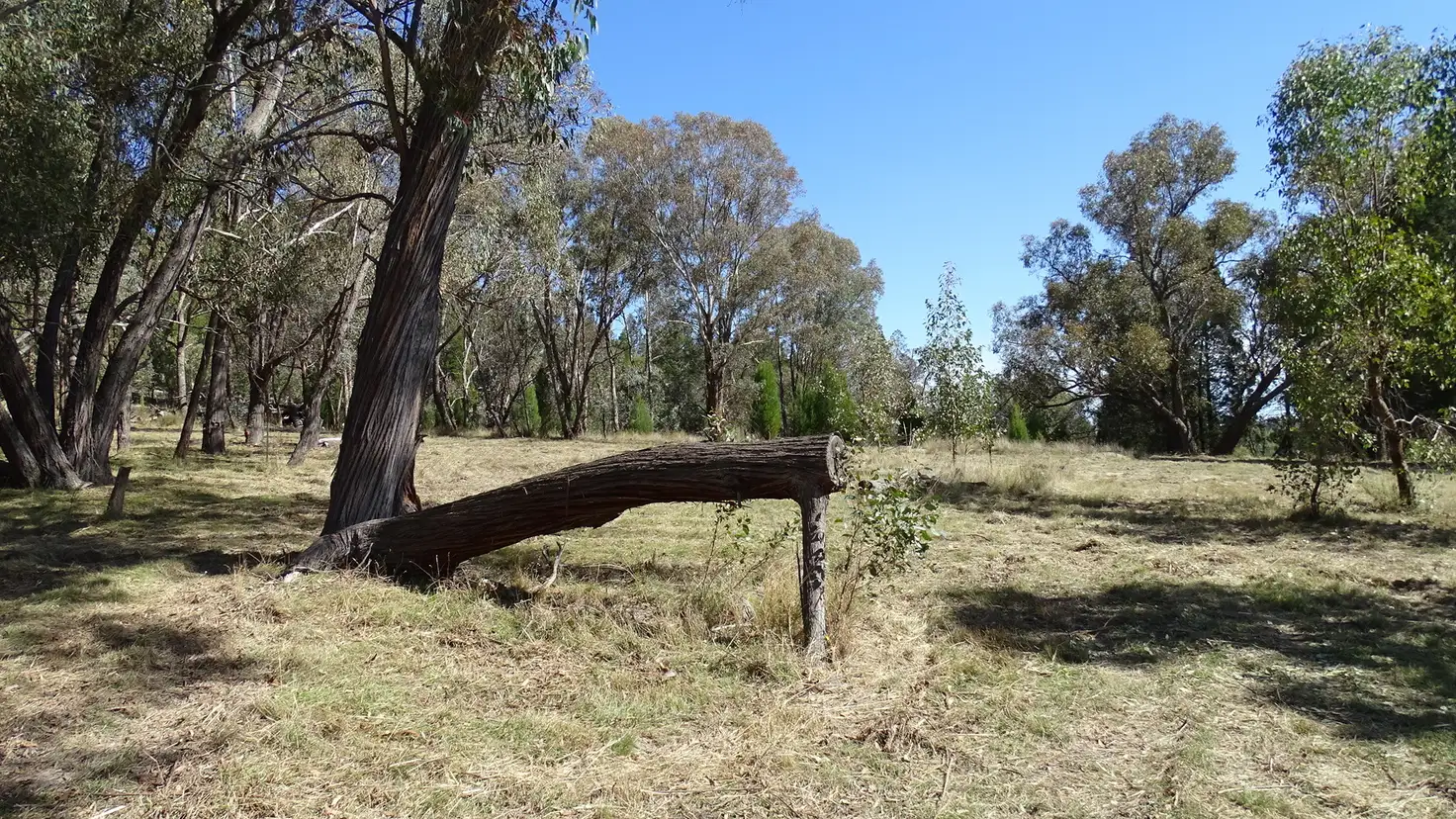 Main view of Homely house listing, 288 Cobb Drive, Woodstock NSW 2793
