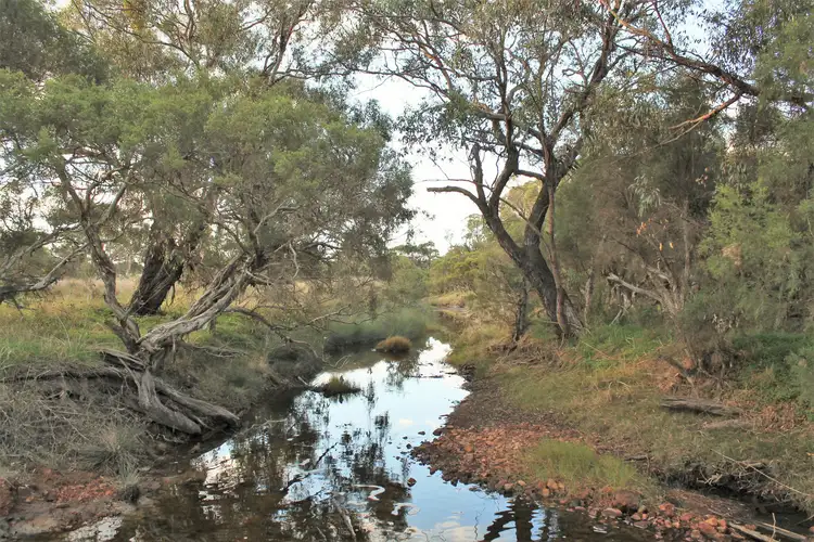 107 Williams Road, Kendenup WA 6323