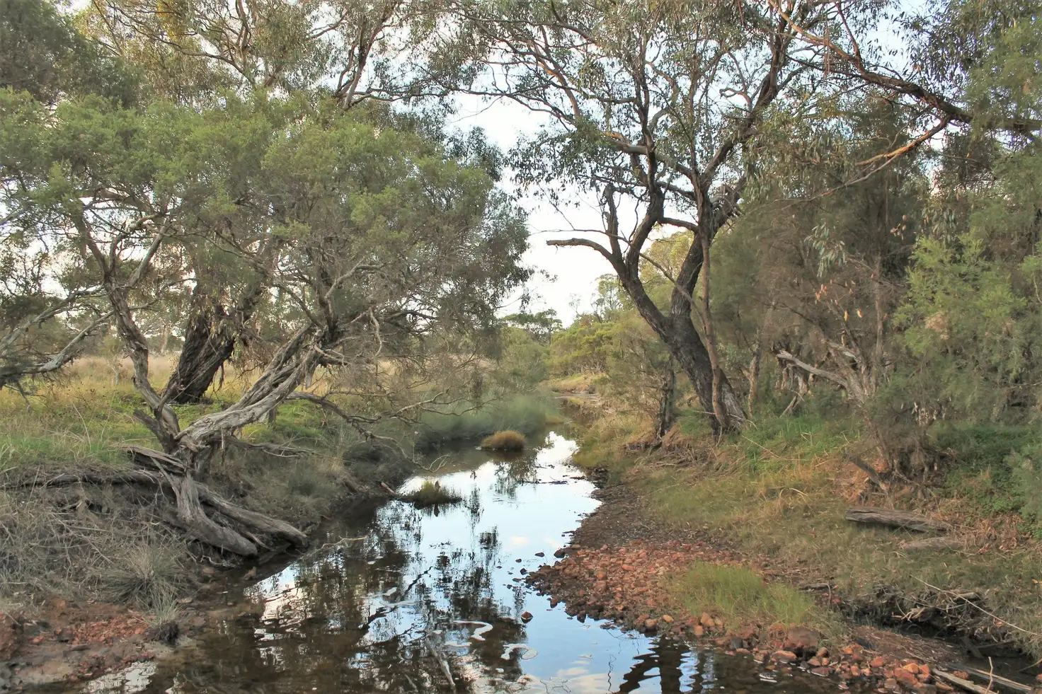 Main view of Homely land listing, 107 Williams Road, Kendenup WA 6323