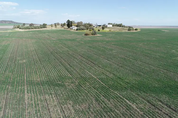 Second view of Homely rural property listing, 4270 Toowoomba Cecil Plains Road, Evanslea QLD 4356