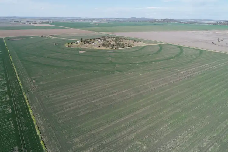Third view of Homely rural property listing, 4270 Toowoomba Cecil Plains Road, Evanslea QLD 4356