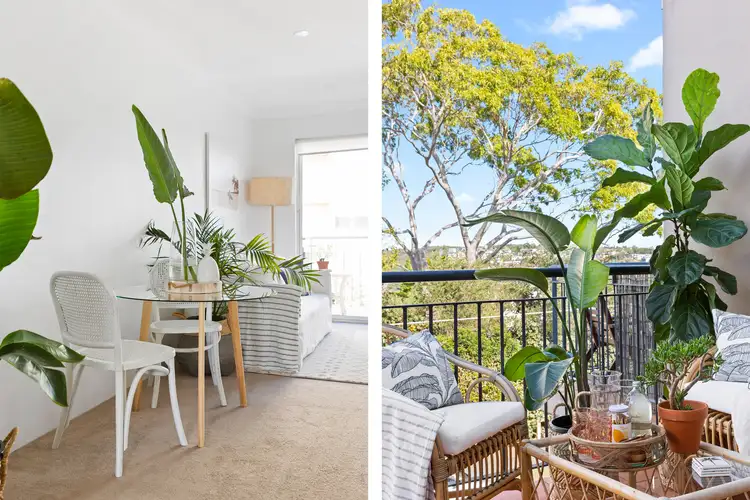 Fifth view of Homely apartment listing, 13/149-153 Sydney Road, Fairlight NSW 2094