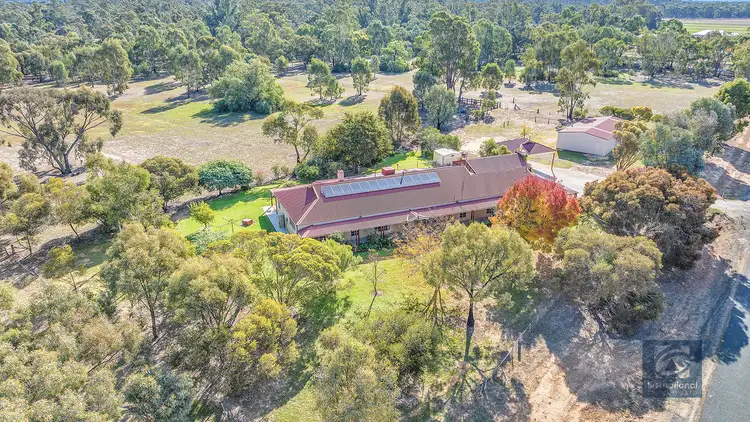 Second view of Homely rural property listing, 29 Victoria Street, Moama NSW 2731
