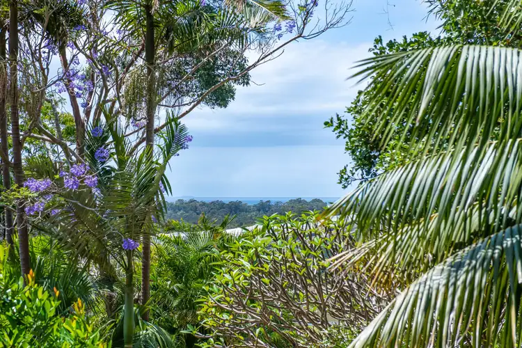 Third view of Homely house listing, 91 Johnsons Road, Sandy Beach NSW 2456