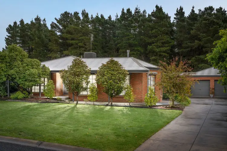 Main view of Homely house listing, 3 Dianne Court, Canadian VIC 3350