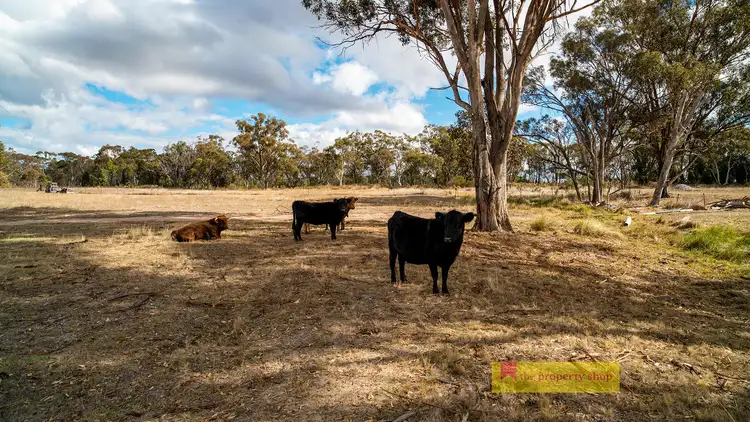 Seventh view of Homely rural property listing, 1530 Henry Lawson Drive, Mudgee NSW 2850