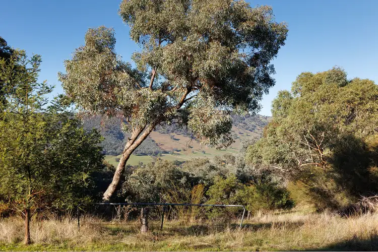 Second view of Homely rural property listing, 3021 Beechworth-Wodonga Road, Leneva VIC 3691