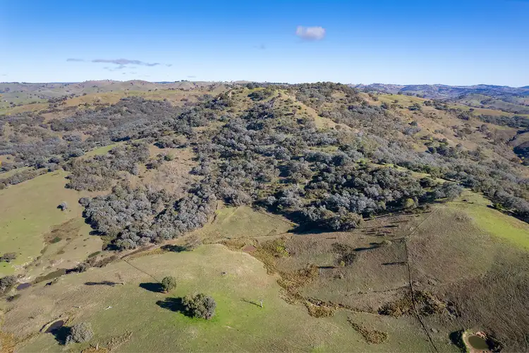 Third view of Homely rural property listing, 3021 Beechworth-Wodonga Road, Leneva VIC 3691