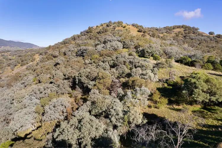 Fourth view of Homely rural property listing, 3021 Beechworth-Wodonga Road, Leneva VIC 3691