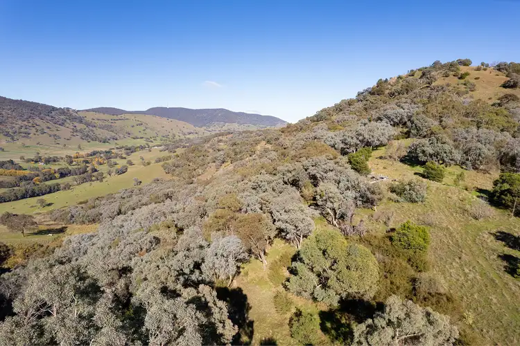 Sixth view of Homely rural property listing, 3021 Beechworth-Wodonga Road, Leneva VIC 3691