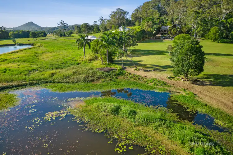 Second view of Homely house listing, 300 Seib Road, Eumundi QLD 4562