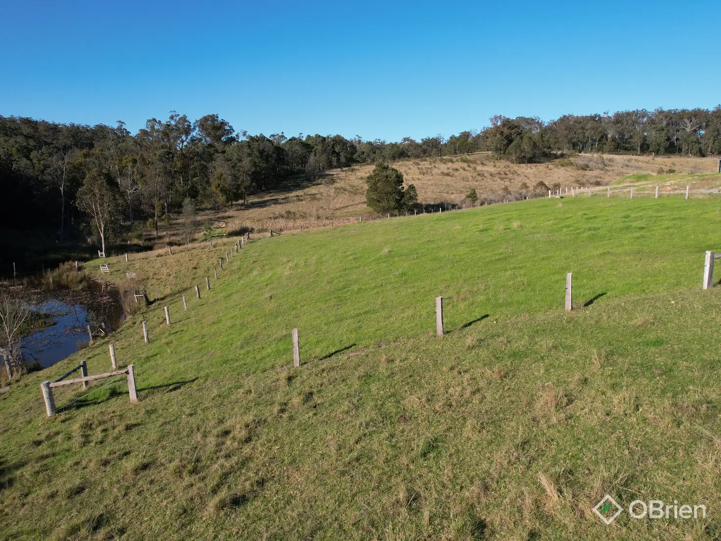Main view of Homely rural property listing, 1306 Tambo Upper Road, Bruthen VIC 3885