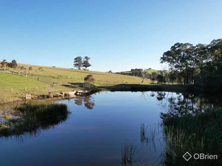 Second view of Homely rural property listing, 1306 Tambo Upper Road, Bruthen VIC 3885