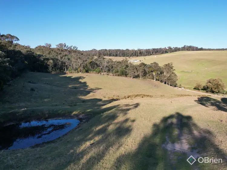 Third view of Homely rural property listing, 1306 Tambo Upper Road, Bruthen VIC 3885