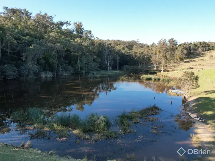 Fourth view of Homely rural property listing, 1306 Tambo Upper Road, Bruthen VIC 3885