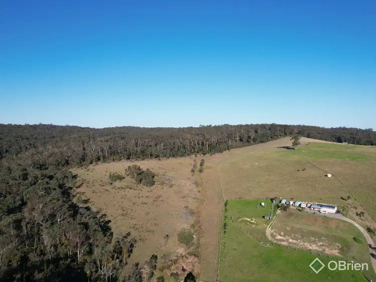 Fifth view of Homely rural property listing, 1306 Tambo Upper Road, Bruthen VIC 3885