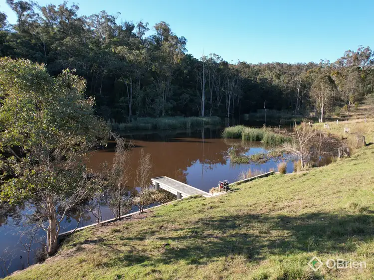 Sixth view of Homely rural property listing, 1306 Tambo Upper Road, Bruthen VIC 3885