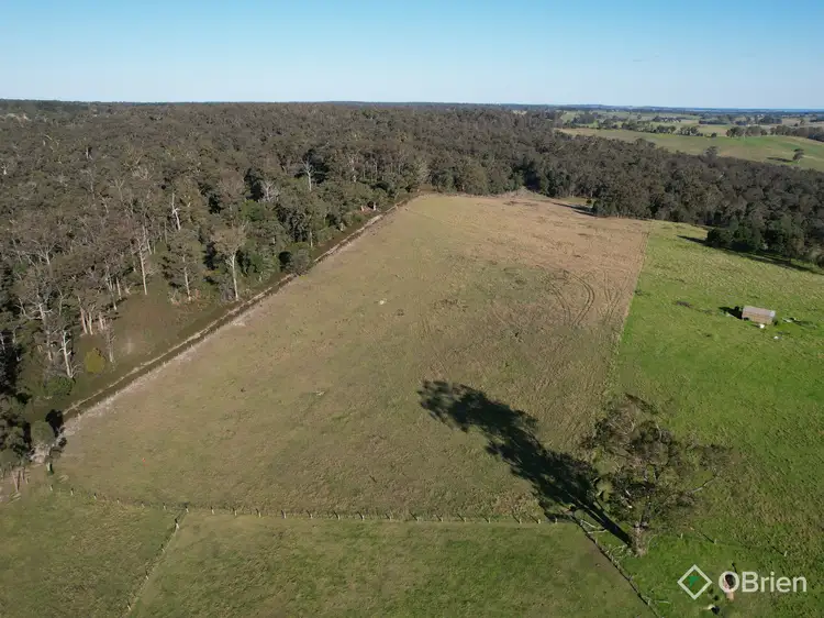 Seventh view of Homely rural property listing, 1306 Tambo Upper Road, Bruthen VIC 3885
