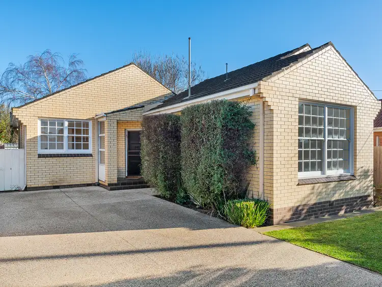 Fifth view of Homely house listing, 65 Minerva Road, Herne Hill VIC 3218
