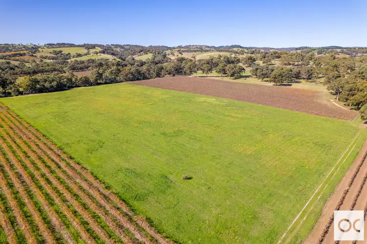 Fourth view of Homely land listing, 358 McMurtrie Road, Mclaren Vale SA 5171