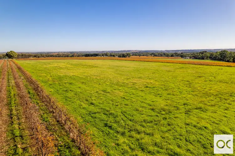 Sixth view of Homely land listing, 358 McMurtrie Road, Mclaren Vale SA 5171