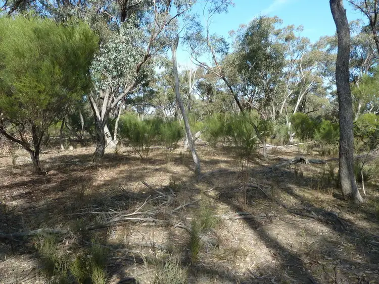 Sixth view of Homely rural property listing, Lot 1 Serpentine-Wedderburn Road, Wedderburn VIC 3518