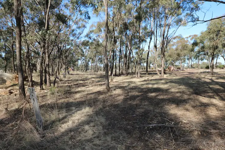 Second view of Homely rural property listing, Ryan Street, Newbridge VIC 3551