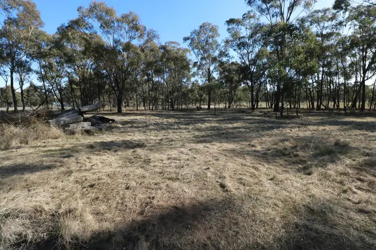 Fifth view of Homely rural property listing, Ryan Street, Newbridge VIC 3551