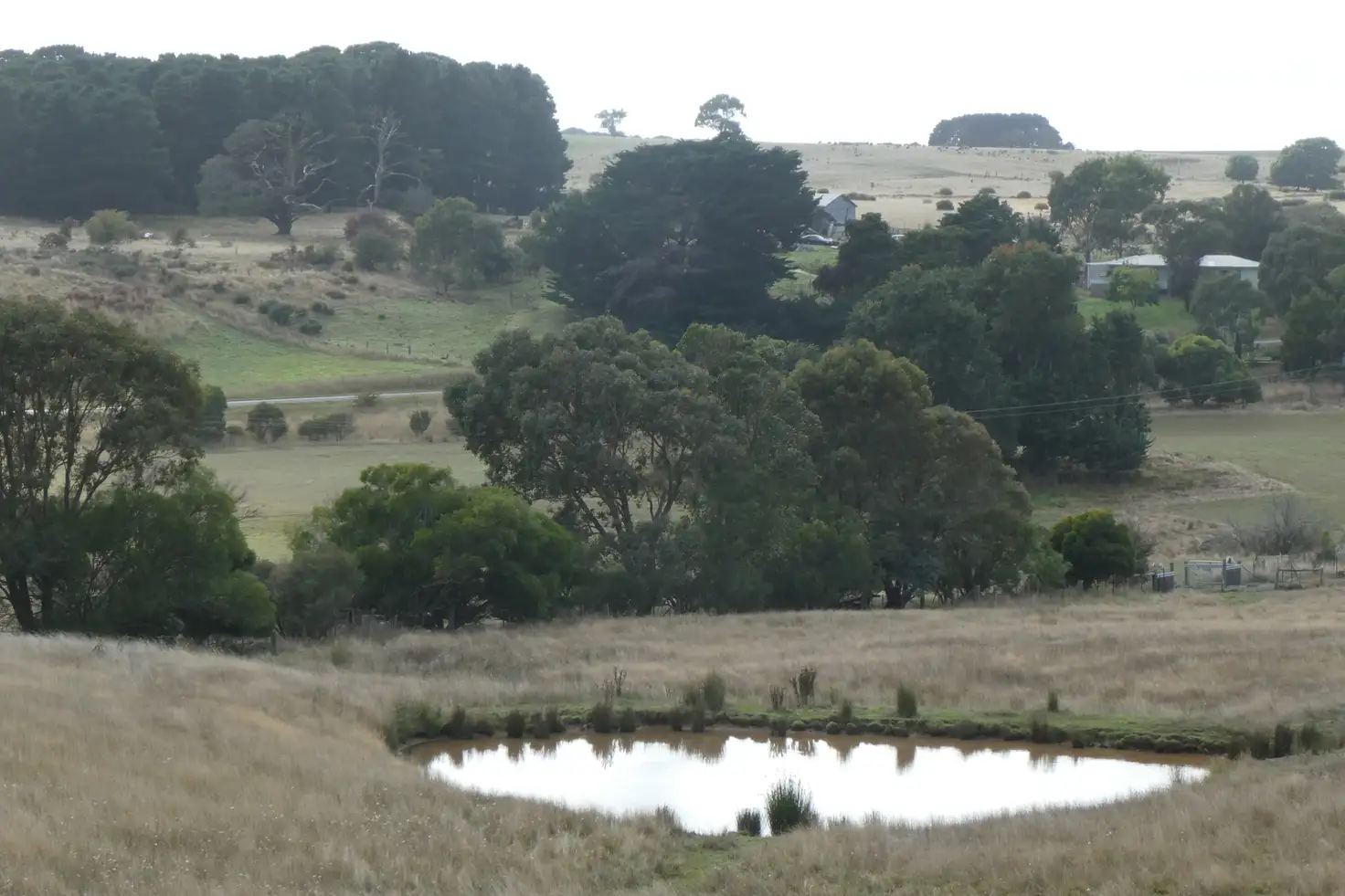 Main view of Homely rural property listing, CA1 Sec 9 Beaufort-Carngham Road, Carngham VIC 3351