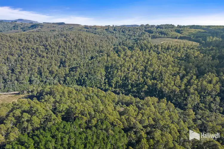 Fourth view of Homely land listing, Andersons Road, Nietta TAS 7315