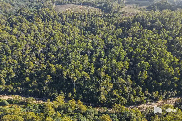Fifth view of Homely land listing, Andersons Road, Nietta TAS 7315