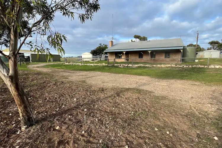 Main view of Homely rural property listing, 4054 Mallee Highway, Peake SA 5301