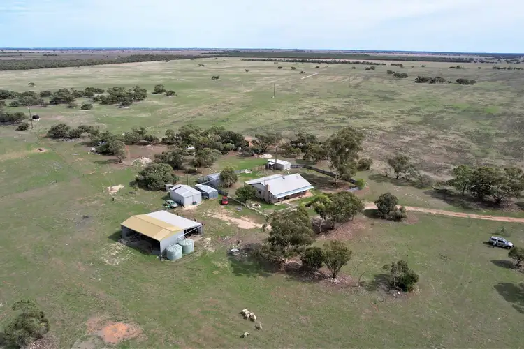 Second view of Homely rural property listing, 4054 Mallee Highway, Peake SA 5301