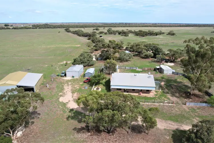 Fifth view of Homely rural property listing, 4054 Mallee Highway, Peake SA 5301