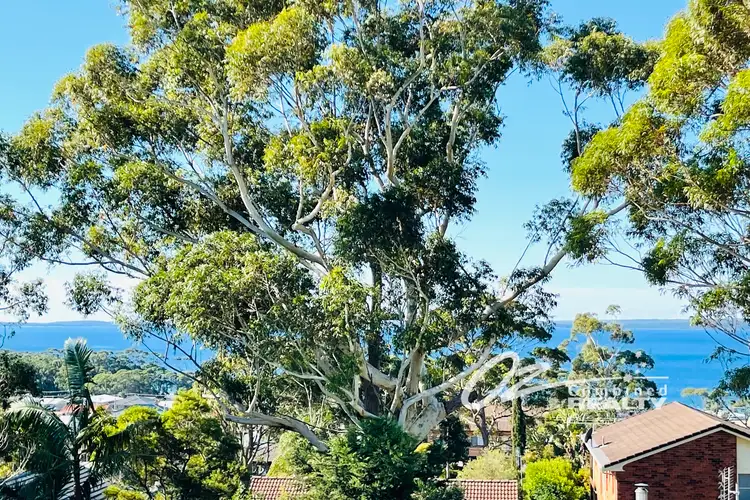 Main view of Homely house listing, 5 Lanyon Road, Vincentia NSW 2540