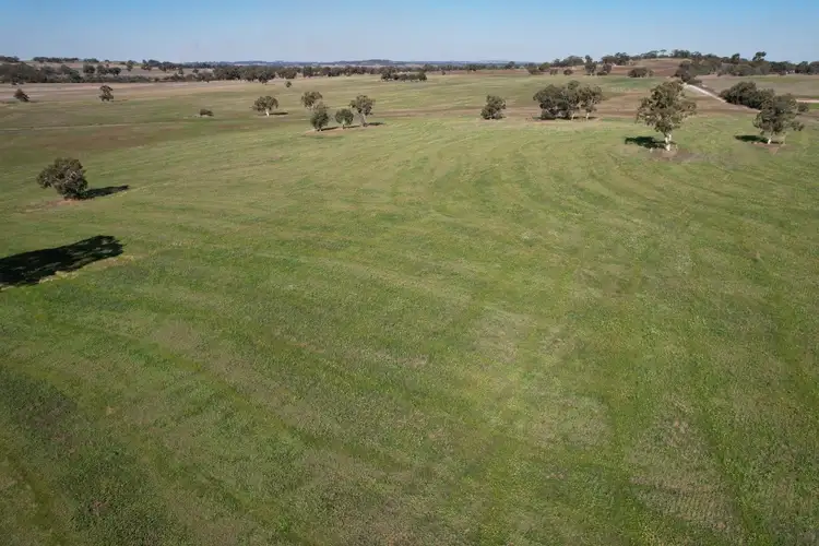 Fourth view of Homely rural property listing, 1834 York Williams Road, Dale WA 6304