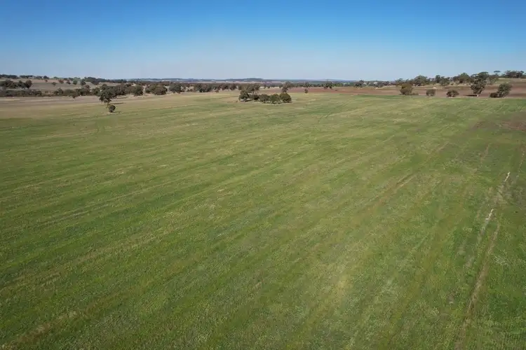 Fifth view of Homely rural property listing, 1834 York Williams Road, Dale WA 6304