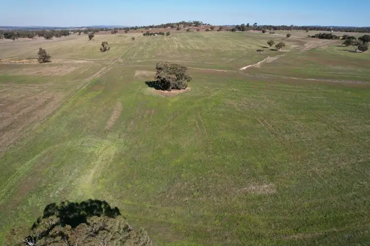 Sixth view of Homely rural property listing, 1834 York Williams Road, Dale WA 6304