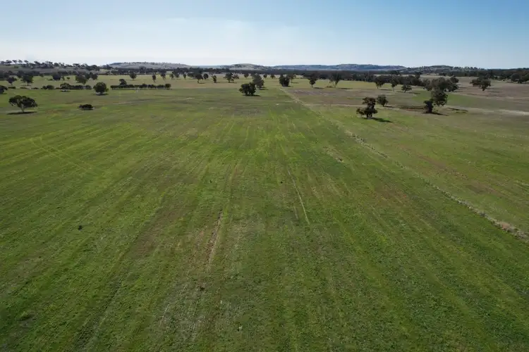 Seventh view of Homely rural property listing, 1834 York Williams Road, Dale WA 6304