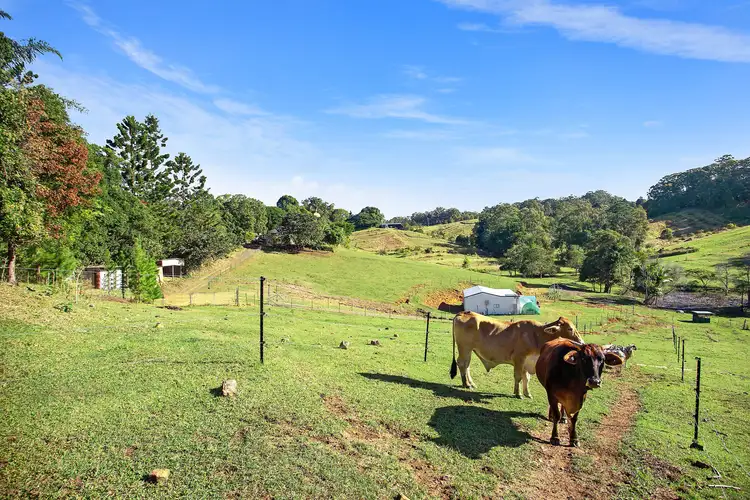 Fifth view of Homely land listing, 204 Coes Creek Road, Coes Creek QLD 4560