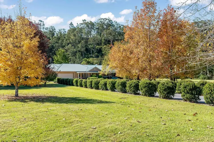 Second view of Homely rural property listing, 842 Allyn River Road, Allynbrook NSW 2311