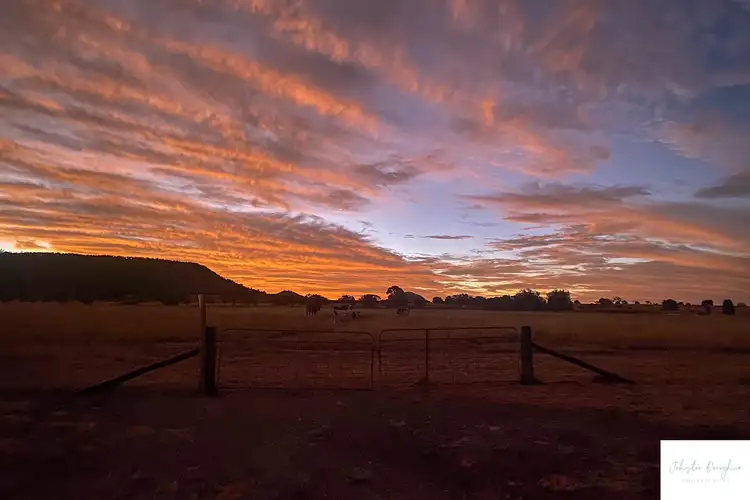Main view of Homely rural property listing, 392 Black Jack Road, Gunnedah NSW 2380