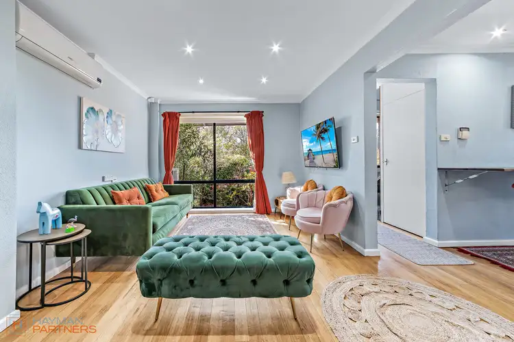 Third view of Homely house listing, 19 Carruthers Street, Curtin ACT 2605